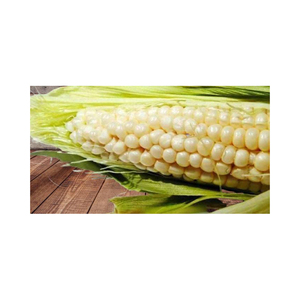 ข้าวโพดขาวบราซิลเกรดพรีเมียมสำหรับขายส่งและการค้าระหว่างประเทศ - Product Image 1