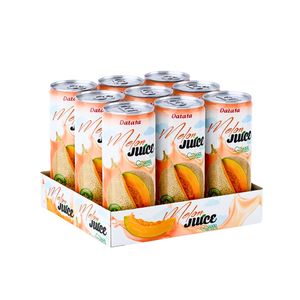 Jugo de Fruta Natural con Vitaminas, Alta Calidad, OEM/ODM, Lata Delgada de 320 ml, Jugo de Melón, Marca Privada, Jugo de Frutas y Verduras - Product Image 6