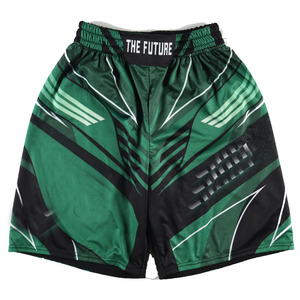 Shorts de boxe pour hommes, motif vert et noir, taille élastique, respirant, vêtements d'entraînement, toutes saisons, polyester - Product Image 1