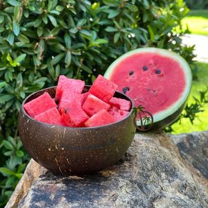 Handmade <b>Coconut</b> <b>Shell</b> Bowl Polished Vintage Design Eco-Friendly for Home Use <b>Coconut</b> Bowls/ <b>Coconut</b> <b>Shell</b> Plain Bowl - Product Image 5