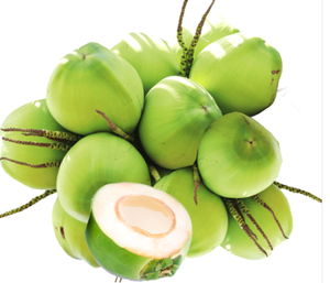 Noix de coco jeune fraîche premium du Vietnam | Noix de coco coupée en diamant pour la vente en gros - Product Image 6