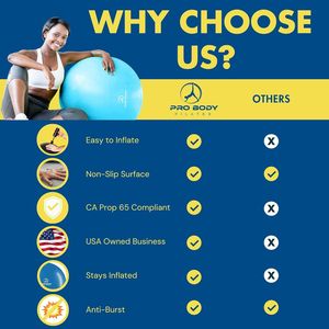 Palla per Esercizi Pilates di Qualità Professionale per Fitness, Yoga, Allenamento, Gravidanza, Fisioterapia - Accessorio in Diverse Misure - Product Image 2