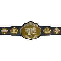 Ceinture de récompense personnalisée pour la boxe, la lutte, le jiu-jitsu, le karaté, le MMA, qualité supérieure, alliage de zinc, plaqué or, design personnalisé, réglable
