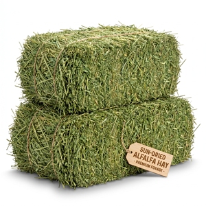 Foin d'alfalfa de qualité supérieure, alimentation animale, fourrage séché de haute qualité pour le bétail, les chevaux, les bovins, les moutons, fournisseur en gros, fabricant - Product Image 1