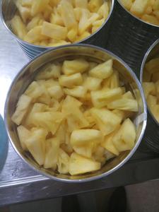 Tranches d'ananas en conserve en emballage en vrac |   Ananas tropical frais et sucré pour l'industrie alimentaire - Product Image 6
