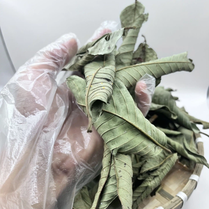 BEST-SELLER Feuilles de Goyave Séchées pour Tisane Minceur, Soutien Contre l'Acné et la Toux, Sac PP de 40 kg, Export Viet Delta Co. LTD, Durée de Conservation 24 Mois - Product Image 4