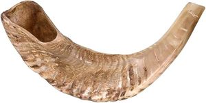Cuerno de Shofar de Primera Calidad, Precio al por Mayor, Hecho a Mano, Cuerno Religioso Judío para Oración y Ceremonia - Product Image 2
