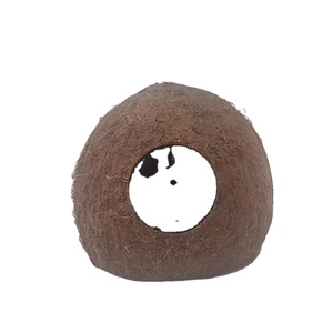 Escondite de Cáscara de Coco de Tres Cuartos, Ideal para Terrarios, Lagartos, Hámsteres, Anfibios, Serpientes, Ranas, Escorpiones, Hecho en Sri Lanka - Product Image 2