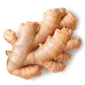 Gingembre frais de haute qualité / Exportateur de gingembre - Product Image 4