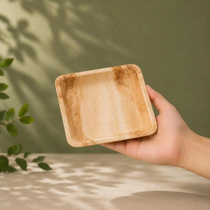Disposable Food Serving Plates and Long Shelf Life for Home <b>BBQ</b> Plates <b>Trays</b> RTS Biodegradable Compostable - Product Image 1