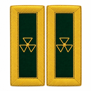 Épaulettes vertes et or, paire, motif emblème triangulaire, accessoires d'uniforme professionnels, épaulettes brodées en fil doré - Product Image 1
