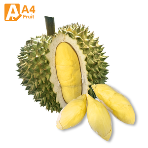 ทุเรียนมันทองสดใหม่ พร้อมส่งจากประเทศไทย เนื้อทุเรียนแช่เย็นไร้เมล็ด 100% เนื้อหวานหอม 500 กรัม 14 ลูก - Product Image 1