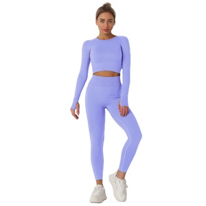 Vente en gros OEM Dames Collants et Soutien-Gorge Ensemble Sans Couture Fitness Vêtements de Yoga Logo Personnalisé Gym Fitness Yoga Ensembles Costumes Pour Femmes Vêtements de Sport - Product Image 1