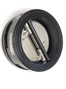 Válvula de Retención de Agua de Alta Temperatura de Doble Placa de Hierro Fundido Tipo Wafer con Sellado de PTFE/EPDM Manual OEM 4 Pulgadas C-Way - Product Image 2