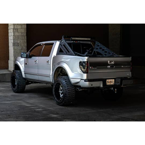 Ford F-150 Platinum Roush 4x4 2011 - Product Image 5