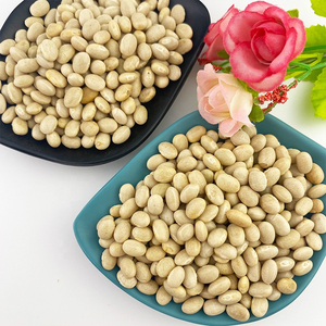 Offre Spéciale – Haricots Verts de Qualité Supérieure en Gros – Approvisionnement en Vrac Prêt à Expédier – Meilleure Qualité Alimentaire pour l'Exportation - Product Image 6