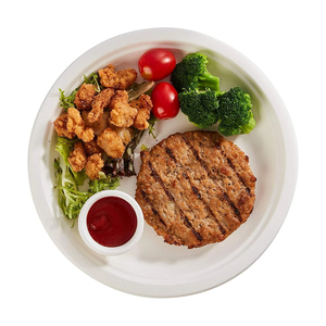 Platos Desechables con Logotipo Personalizado, Pakistán, OEM, ODM, Alta Calidad, Ligeros, Venta al por Mayor - Product Image 1