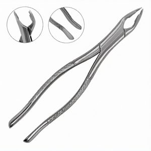 Pinzas Manuales para Extracción Dental # Instrumento Quirúrgico de Acero Inoxidable para Incisivos Superiores y Raíces Dentales 349 con Empuñadura Ergonómica - Product Image 2