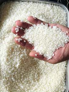 Riz blanc à grains courts séché récolte 2026 texture moelleuse pour restaurants, vente au détail et en gros. Contactez-nous dès maintenant (Mme Elena +84 966 659 976) - Product Image 1