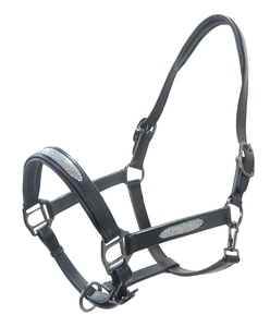 Cabestro de Cuero para Caballo con Diseño Polo y Hebilla de Alta Calidad, Cabestro de Cuero Personalizado, Accesorios de Moda para Caballos - Product Image 3