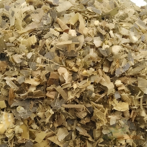 หญ้าหมักข้าวโพดสีเหลืองสดใหม่สำหรับผู้ซื้อขายส่ง หญ้าหมักข้าวโพดคุณภาพพรีเมียมสำหรับอาหารวัว ฟาร์มโคนม และผู้ผลิตปศุสัตว์ - Product Image 5