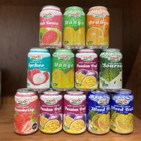 Fruitpuree drank, versgeperst, 100% puur, blikjes, 330ml, groothandel leverancier, fabrieksprijs, Vietnamese fabrikant