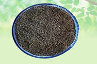 Hyoscyamus Niger Parasika Yavani Khurasani Ajwain Carom Seeds Powder Food Grade Dried Raw Herbs Wholesale Herbal Extract
