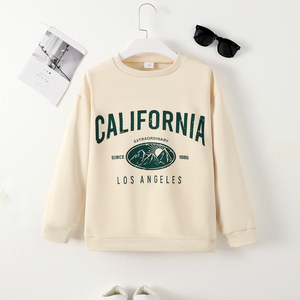 Sweat-shirt à capuche thermique en molleton de coton blanc pour petits garçons, respirant, style vintage, imprimé lettres, pull-over toutes saisons pour enfants - Product Image 1