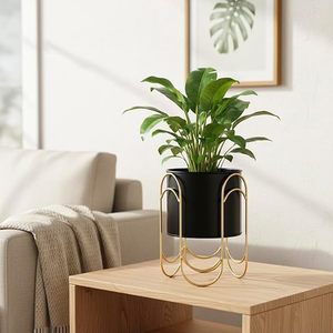 Minimalist Gold Plated Metal Flower Stand With Circular Design For Indoor Desk <b>Plant</b> Display - Product Image 1