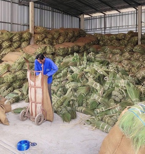Matière première de qualité supérieure en herbe du Vietnam pour la fabrication de têtes de balai - Product Image 4