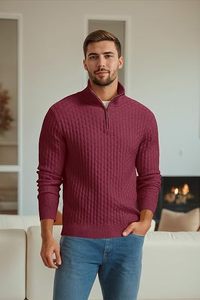 Men's Quarter <b>Zip</b> Long Sleeve Solid Knitted Casual <b>Shirt</b> Stand Collar Breathable Quick Dry Polyester/Cotton Autumn Wear - Product Image 4