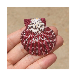 เปลือกหอยสแกลลอปหลากสีธรรมชาติ งานฝีมือทำมือ ของตกแต่ง DIY เครื่องประดับ ของตกแต่งชายหาดสไตล์โคสตัล - Product Image 1