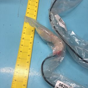 สายเคเบิล AMAT 0620-01207 รุ่น LOW-PASS FLTR ขนาด 24 นิ้ว - อุปกรณ์และอะไหล่เซมิคอนดักเตอร์ระดับโลกที่เชื่อถือได้ - Product Image 2