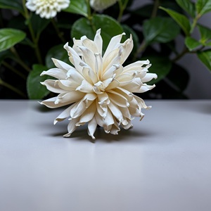 Fleurs artisanales durables en bois de Sola blanc (Spider Mum), taille : 8,5 cm, tige en fibre de plantes de Sésbania de Thaïlande - Product Image 1