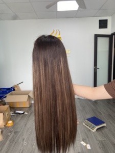 Hot Selling 100% Brazilian Remy Light Brown Lace Front Wig 130-150 Density Pre-Plucked Frontal Straight for Lace Small Cap - Product Image 5