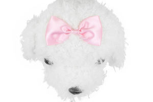 Yürüyüş peluş oyuncak köpek gerçekçi dolması yavru pil işletilen yürüyüş köpek Barking Shaking k oyuncak sallayarak kuyruk ile - Product Image 5