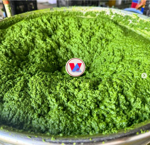 Fournisseur de feuilles de manioc congelées de haute qualité en provenance du Vietnam, prix de gros en vrac - Product Image 1