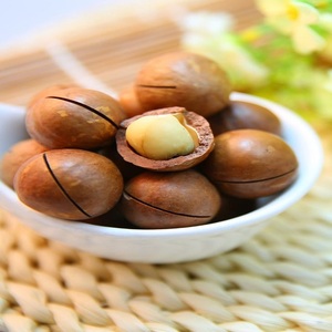 เม็ดแมคคาเดเมียดิบขายส่ง อบในเปลือก ราคาขายส่ง เม็ดแมคคาเดเมียธรรมชาติ ขนมขบเคี้ยวเพื่อสุขภาพ - Product Image 1