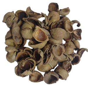 Tokra Impex Areca Botanique Indienne de Haute Qualité, Pot-pourri en Vrac Écologique, Coque de Noix de Bétel Naturelle Séchée, Décoration d'Intérieur - Product Image 1