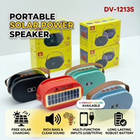 Haut-parleur solaire DV-1213S avec sangle de transport, mini enceinte sans fil, caisson de basses extérieur, vente en gros