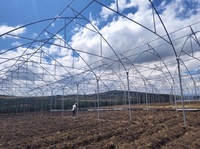Agriculture Tomate Tunnel à travées multiples Serre Agricole Maison Verte Cadre Métallique Horticulture Serre Tropicale Prix