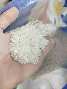 Riz Jasmin à Grains Longs Parfumé Blanc, Vente Directe Usine, Prix de Gros Compétitif, Expédition en Gros pour le Marché International - Product Image 2