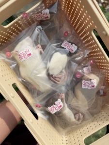 หนูแช่แข็งสำหรับให้อาหาร M3 61-70 กรัม – บรรจุแยกชิ้น |   เสริมด้วยโปรไบโอติก - Product Image 4