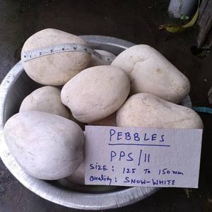 PP SINGH STONE COMPANY Carbonato de Calcio 100% Puro de Grado Industrial, Polvo de Dolomita, Piedras Trituradas de Uttar Pradesh, India - Product Image 2