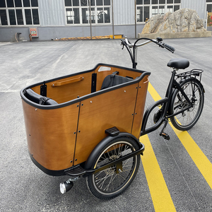 Bakfiet électrique à 3 roues vélo cargo à trois roues vélo cargo électrique adulte avec panier pour chien - Product Image 2