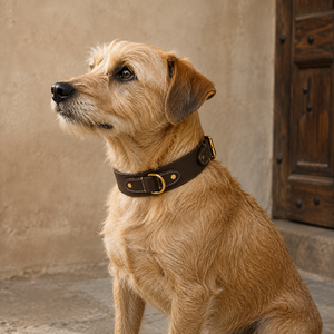 Collar de Perro de Cuero de Búfalo de Lujo, Herrajes y Marca Personalizados Disponibles de Divine International - Product Image 6