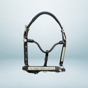 Elegante cuero de primera calidad caballo Halter hecho a mano Show accesorio - Product Image 1