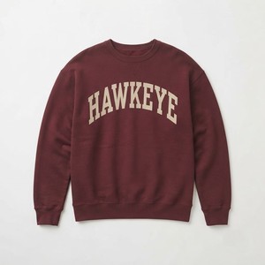 HAWK EYE SPORTS Sweat à capuche décontracté pour homme Nouvelle mode 350g Coupe droite épaules tombantes Col montant Motif imprimé Automne - Product Image 3