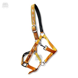 Accesorios de sillín inglés de calidad superior Logo personalizado Halter de nailon con grabado Accesorios para montar a caballo - Product Image 2