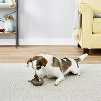 Jouet à mâcher naturel pour chien en bois de cerf Sika, fait main, écologique, de qualité supérieure, fabriqué en Inde par l'usine d'antlers d'agneau